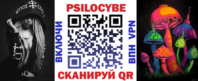 Купить закладки  Вилючинск  Псилоцибиновые грибы мицелий 